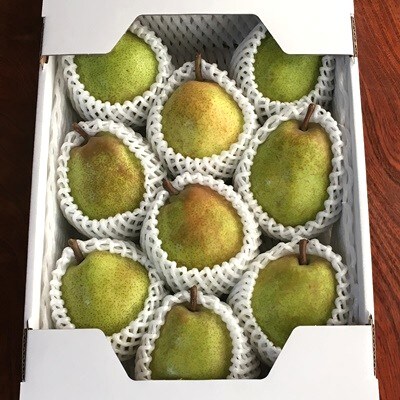 西洋梨(ラ・フランス)3kg　8～11玉　特秀品　化粧箱入　0049-2611