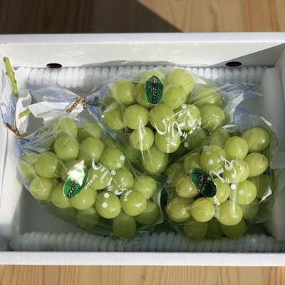 シャインマスカット　2～3房　合計1.5kg　ご家庭用　0049-2510