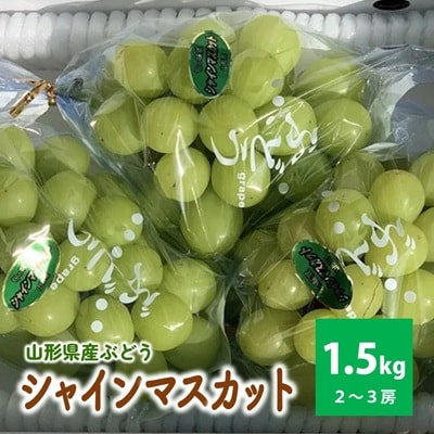 シャインマスカット　2～3房　合計1.5kg　ご家庭用　0049-2510