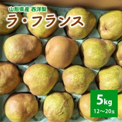西洋梨(ラ・フランス)5kg　ご家庭用　0056-2619