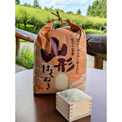 【2026年10月発送】令和8年産　はえぬき(精米)5kg　0011-2608