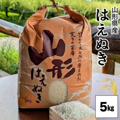 【2026年10月発送】令和8年産　はえぬき(精米)5kg　0011-2608