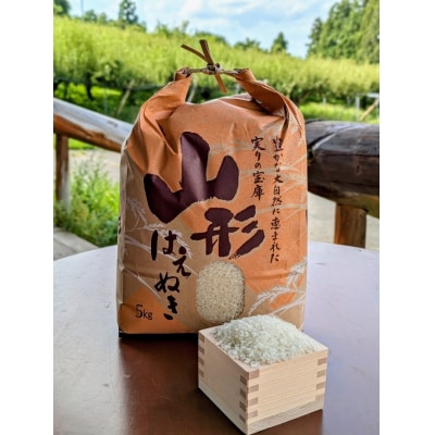 【定期便】令和7年産　はえぬき(精米)5kg×6か月連続お届け　0011-2510