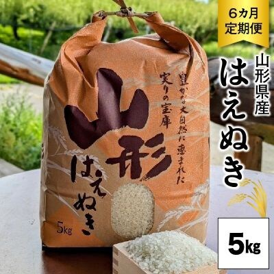 <2026年10月～発送>【定期便】令和8年産　はえぬき(精米)5kg×6か月　0011-2609