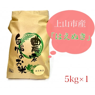 <2025年10月～発送>【山形県産】令和7年産　はえぬき　5kg　0120-2509