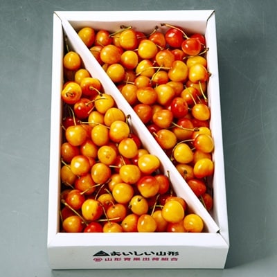 さくらんぼ(佐藤錦か紅秀峰)1kg　ご家庭用　0020-2603