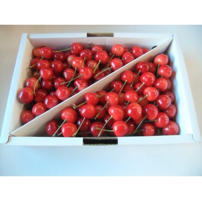 さくらんぼ(佐藤錦か紅秀峰)1kg　秀品　0030-2604