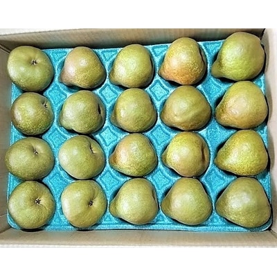 ラ・フランス　5kg　20～24玉　特秀・秀品混合　0042-2610