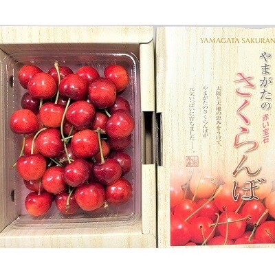 さくらんぼ(紅秀峰)500g　L～3L　0108-2601