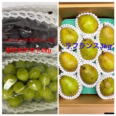 t[cZbg(Ԃǂlߍ킹AEtX)y:S2z@0065-2601