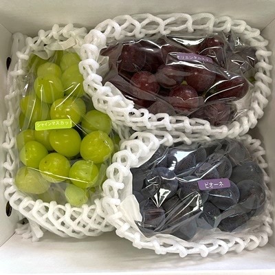 フルーツセット(ぶどう詰め合わせ、ラ・フランス)【定期便:全2回】　0065-2601