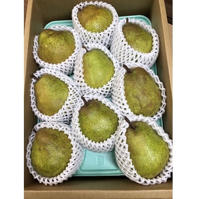 フルーツセット(ぶどう詰め合わせ、ラ・フランス)【定期便:全2回】　0065-2601