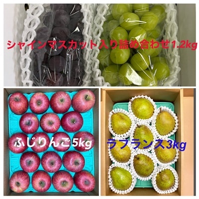 フルーツセット(ぶどう詰め合わせ、ラ・フランス、りんご)【定期便:全3回】 0065-2602