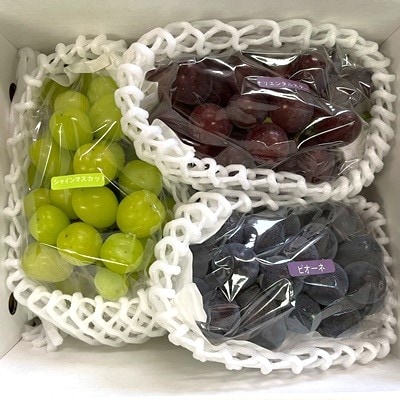 フルーツセット(ぶどう詰め合わせ、ラ・フランス、りんご)【定期便:全3回】　0065-2602