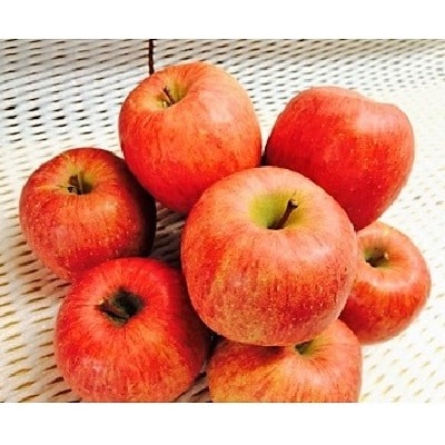 フルーツセット(ぶどう詰め合わせ、ラ・フランス、りんご)【定期便:全3回】　0065-2602