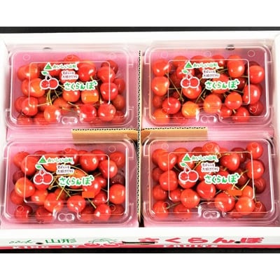 さくらんぼ(佐藤錦か紅秀峰)720g(180g×4パック)　フードパック入り　0020-2607