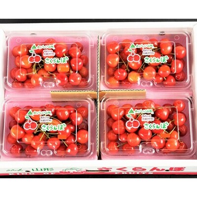 さくらんぼ(佐藤錦か紅秀峰)720g(180g×4パック)　フードパック入り　0020-2607