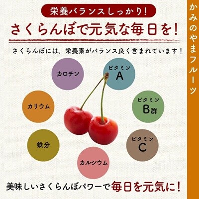 【上山産】さくらんぼ(やまがた紅王)180g×4パック　特秀品　フードパック入り　0020-2611