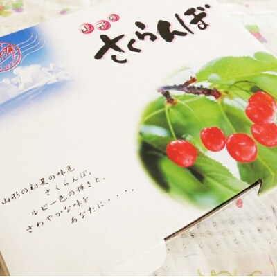 山形チェリーランドのさくらんぼ(佐藤錦)200g×2パック　ご家庭用　0075-2601