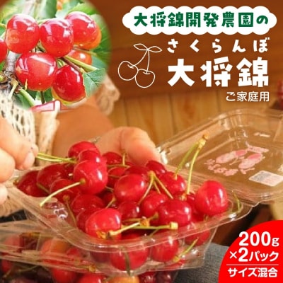 さくらんぼ(大将錦)200g×2パック　ご家庭用　0075-2602