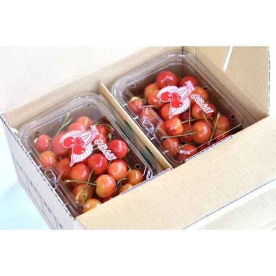 さくらんぼ(佐藤錦か紅秀峰)180g×4パック　ご家庭用　0052-2603