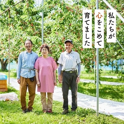 さくらんぼ(佐藤錦か紅秀峰)180g×4パック　ご家庭用　0052-2603