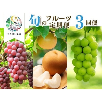【定期便:全3回】旬のフルーツ定期便(キングデラ、和梨、シャインマスカット)　0140-2601