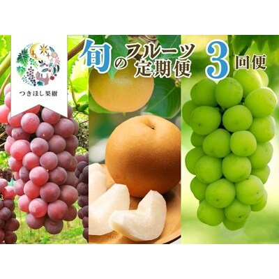 【定期便:全3回】旬のフルーツ定期便(キングデラ、和梨、シャインマスカット)　0140-2601