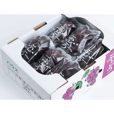 【定期便:全3回】旬のフルーツ定期便(キングデラ、和梨、シャインマスカット)　0140-2601