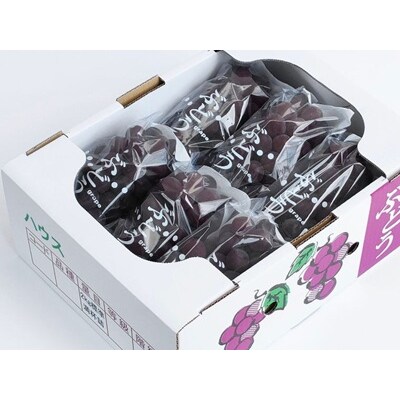 【定期便:全3回】旬のフルーツ定期便(キングデラ、和梨、シャインマスカット)　0140-2601