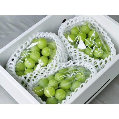 【定期便:全3回】旬のフルーツ定期便(キングデラ、和梨、シャインマスカット)　0140-2601