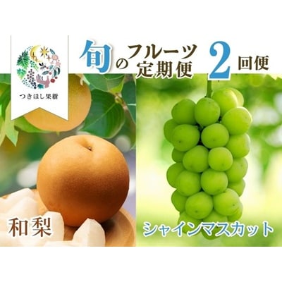 【定期便:全2回】旬のフルーツ定期便(和梨、シャインマスカット)　0140-2602