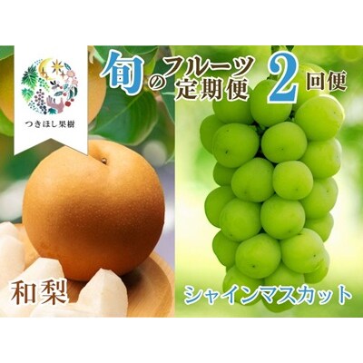 【定期便:全2回】旬のフルーツ定期便(和梨、シャインマスカット)　0140-2602