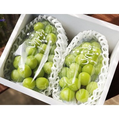 【定期便:全2回】旬のフルーツ定期便(和梨、シャインマスカット)　0140-2602