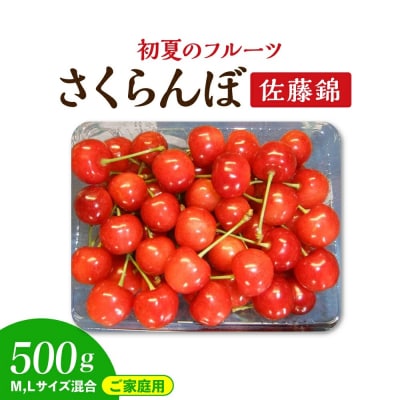 さくらんぼ(佐藤錦)500g　ご家庭用　0112-2609