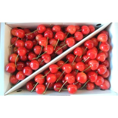 さくらんぼ(佐藤錦)1kg　ご家庭用　0112-2613