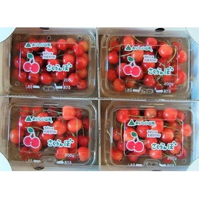 ()200g×4pbN@ƒp@0112-2612