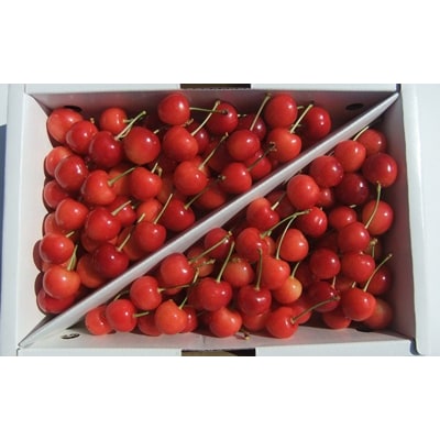 (g₩)1kg@ƒp@0030-2605