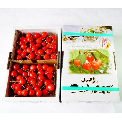 さくらんぼ(佐藤錦)1kg(500g×2パック)　M玉　秀品　0012-2601