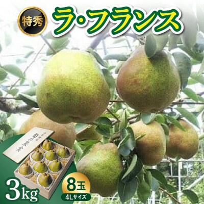<数量限定>西洋梨(ラ・フランス)3kg【極み】桐箱入り　4L　8玉　0044-2606