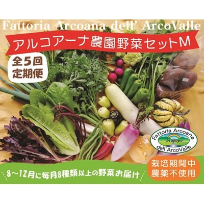 【定期便:全5回】アルコアーナ農園の(栽培期間中)無農薬野菜セット定期便　0148-2603