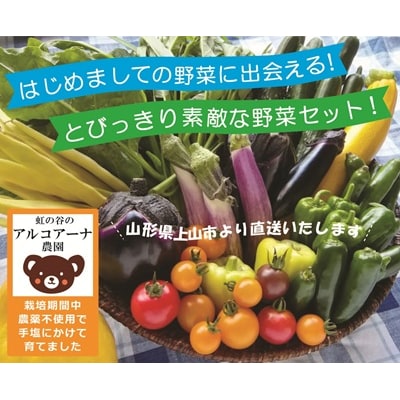 【定期便:全5回】アルコアーナ農園の(栽培期間中)無農薬野菜セット定期便　0148-2603