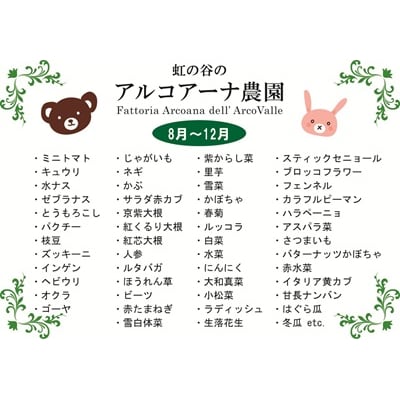 【定期便:全5回】アルコアーナ農園の(栽培期間中)無農薬野菜セット定期便　0148-2603