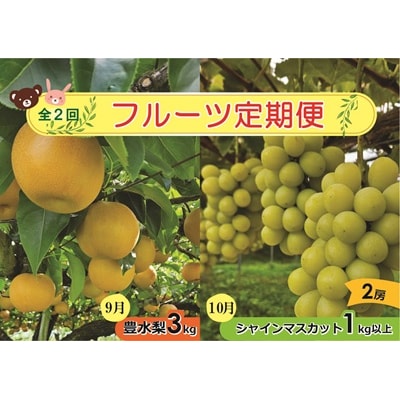 【定期便:全2回】アルコアーナ農園のフルーツ定期便Aコース　0148-2604