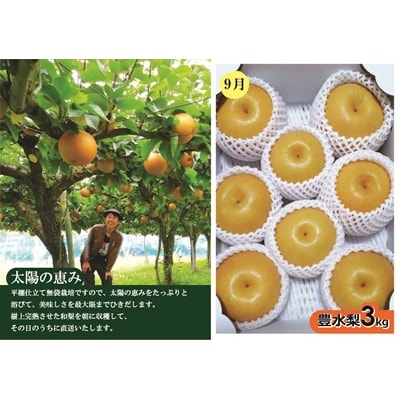 【定期便:全2回】アルコアーナ農園のフルーツ定期便Aコース　0148-2604