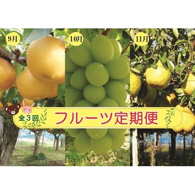 【定期便:全3回】アルコアーナ農園のフルーツ定期便Cコース　0148-2606