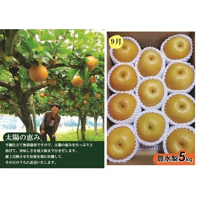 【定期便:全3回】アルコアーナ農園のフルーツ定期便Cコース　0148-2606