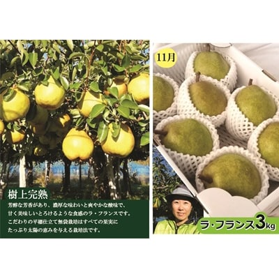 【定期便:全3回】アルコアーナ農園のフルーツ定期便Cコース　0148-2606