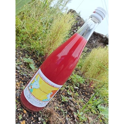 Bisou delaware(デラウェアジュース)720ml　0160-2501