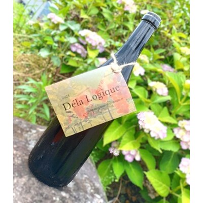 2024 Dela Logique(オレンジワイン)750ml　0160-2503